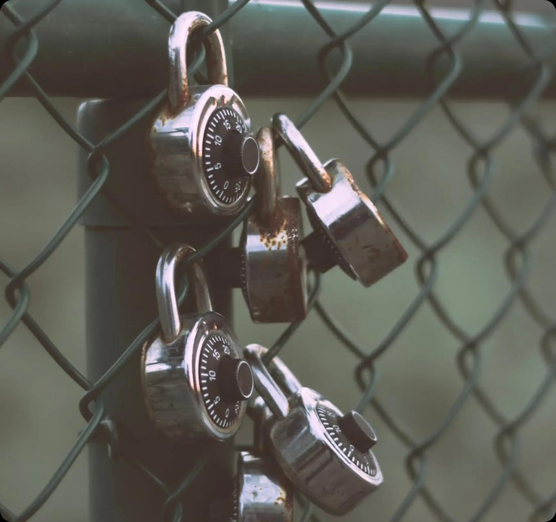 Product Descriptive Image